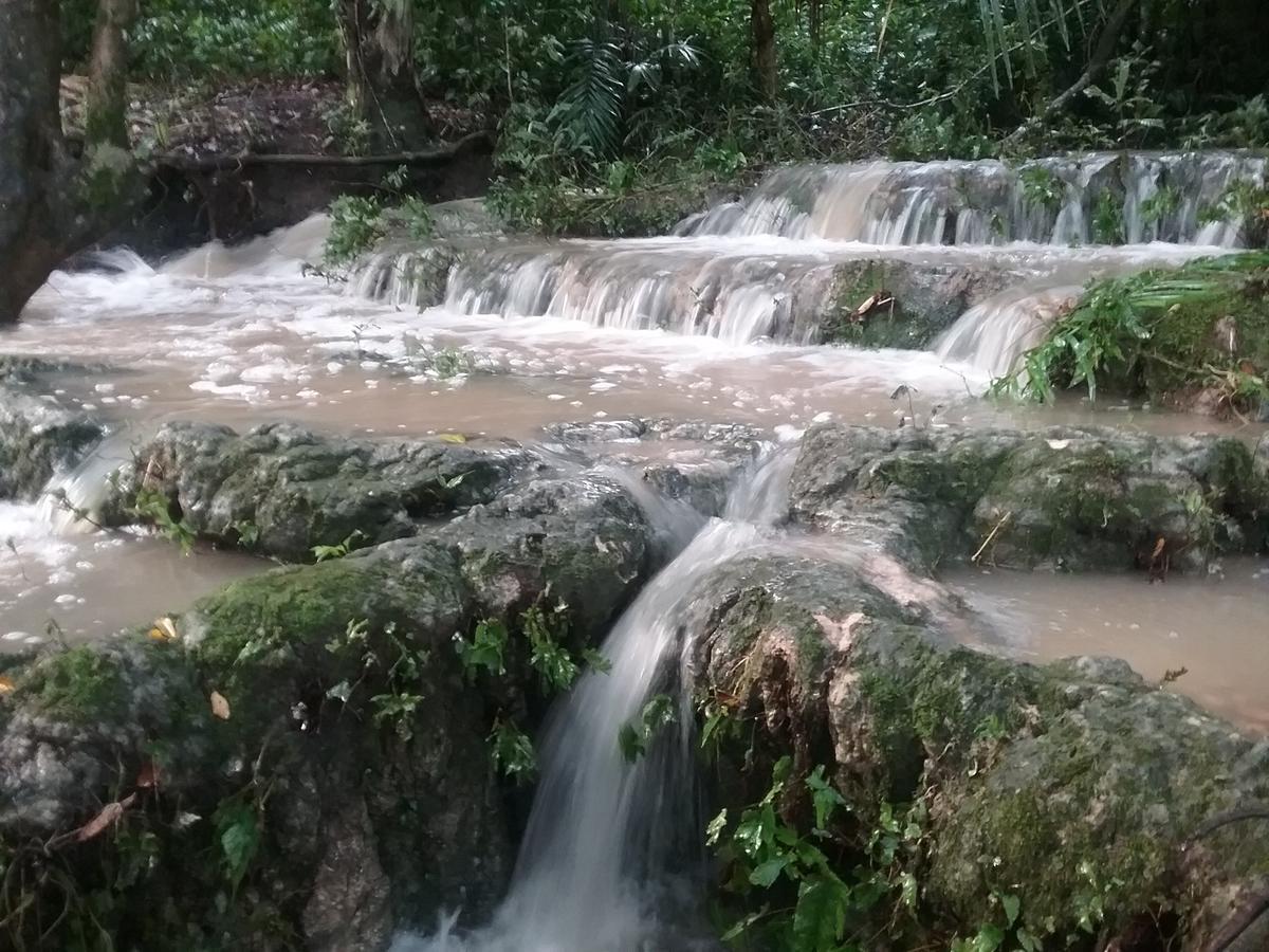 Hidden Haven Hostel Unitedville Bagian luar foto