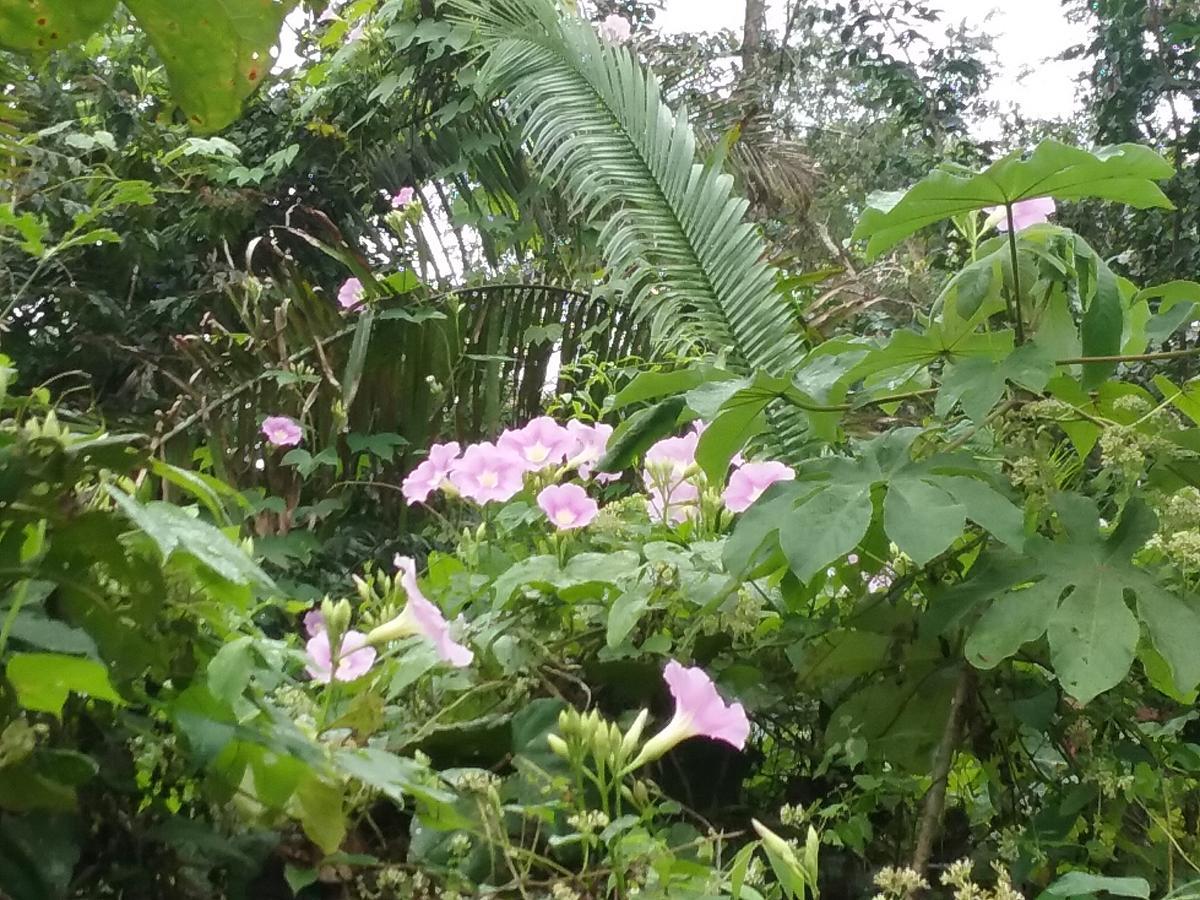 Hidden Haven Hostel Unitedville Bagian luar foto