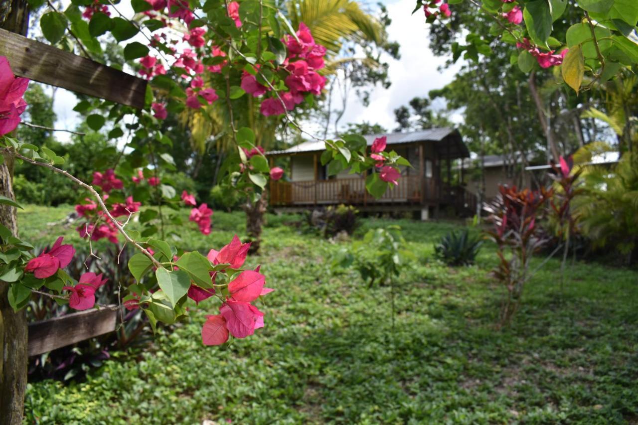 Hidden Haven Hostel Unitedville Bagian luar foto